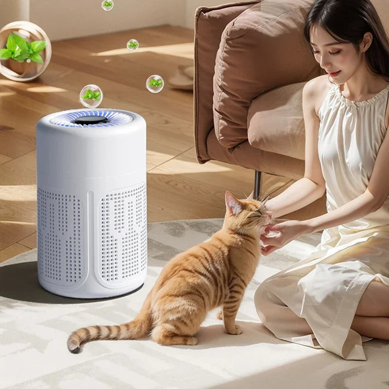 Air purifier quiet operation